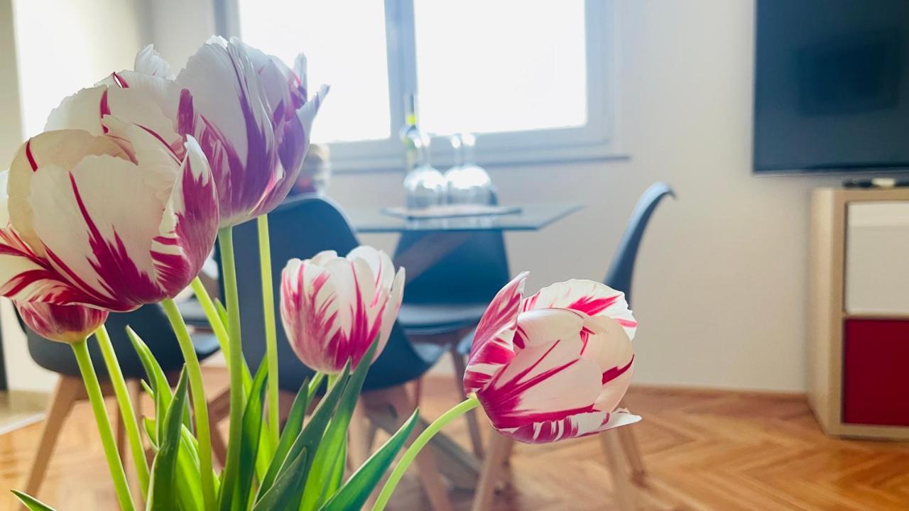 Apartment Iva Rijeka Exteriör bild